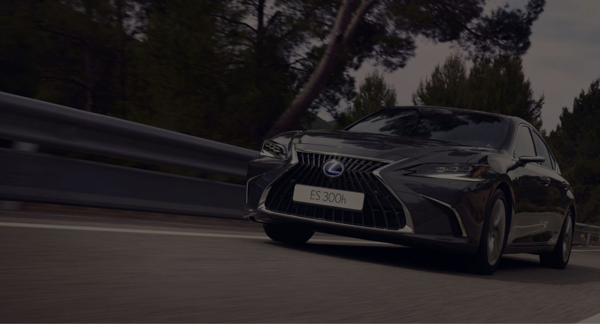 Lexus: Feel your best