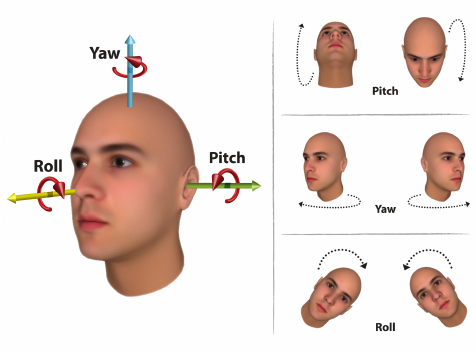 poses and rotation of head recognized by emotion recognition ai